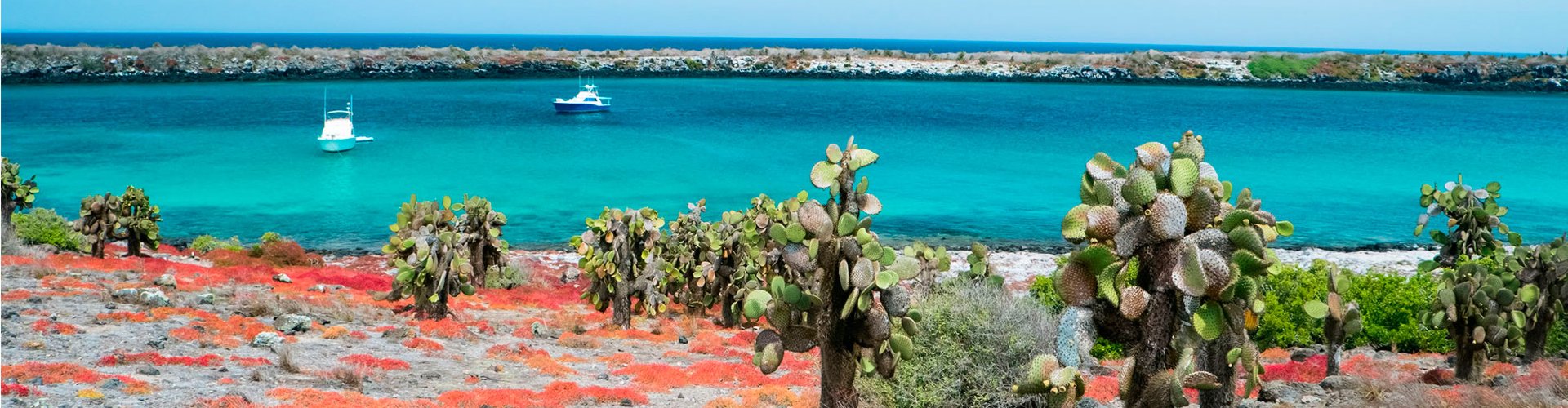 Santa Fe Island, Galápagos: Land Iguanas and the Oldest Rocks